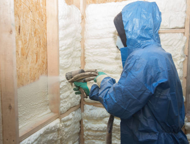 Trusted La Crescent, MN Insulation Experts